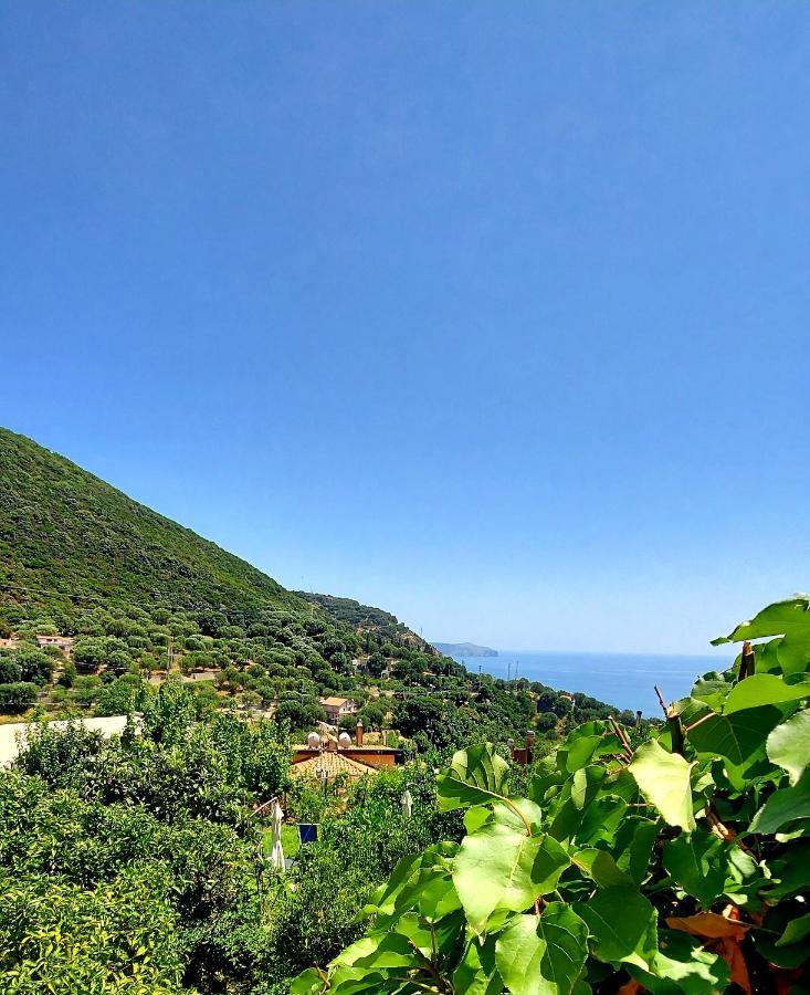 La Casa Sul Blu Albergo Diffuso Pisciotta Exteriér fotografie