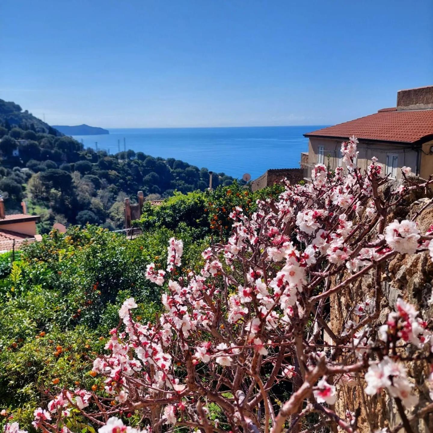 La Casa Sul Blu Albergo Diffuso Pisciotta Exteriér fotografie
